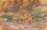 Springboks beside a River by Zakkie Eloff, oil on canvas, offered Mar 2025