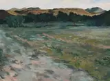 Jan du Toit, Letskraal I SA, oil on canvas