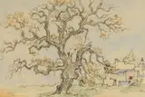 Gregoire Boonzaier, No 20 Ou Eikeboom Plaas, Laat Herfs, Somerset Wes (No 20 Old Oak Tree Farm, Late Autumn, Somerset West)