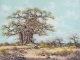 Francois Badenhorst, Baobab with Donkey Cart, oil on board