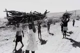 Paul Alberts, A Family Collecting Wood, Dinokana, North West Province 1980