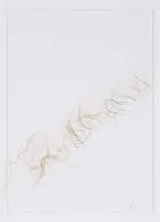 Nandipha Mntambo, Opening I, cattle hair on Fabriano