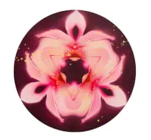 Tracy Payne, Wildflower II, oil on canvas