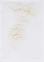 Nandipha Mntambo, Opening II, cattle hair on Fabriano