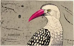 The Hornbill Series: Tockus Erythrorhynchus by John Moore, colour woodcut on rice paper, sold Dec 2024