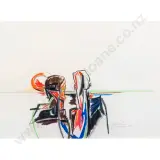 Douglas MacDiarmid, Conversation VI