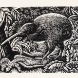 Ernest Mervyn Taylor, Kiwi