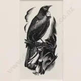 Ernest Mervyn Taylor, Tui
