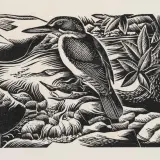 Ernest Mervyn Taylor, Kingfisher