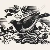 Ernest Mervyn Taylor, Bush Pidgeon (Kereru)