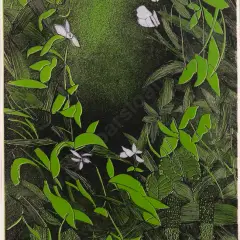 Penny Ormerod, Chaing Mai