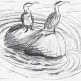 Michael Smither, Two Cormorants