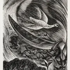 Rona Ina Dyer, Cormorant