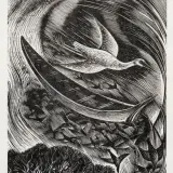 Rona Ina Dyer, Cormorant