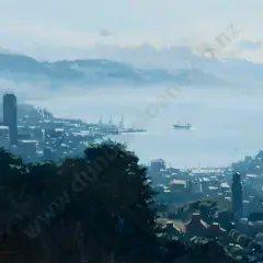 John Crump, Wellington Harbour