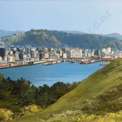 Peter Wallers, Wellington City from Mt Victoria