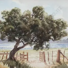 E B Lattey, Old Rata
