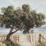 E B Lattey, Old Rata