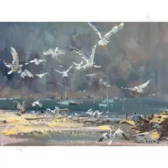 Douglas Badcock, Seagulls in Flight - Evening - Port Isaac - Cornwall