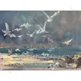 Douglas Badcock, Seagulls in Flight - Evening - Port Isaac - Cornwall