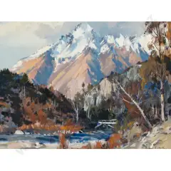 Douglas Badcock, Cecil Peak - Wakatipu