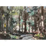 Douglas Badcock, Beech Forest - Eglinton Valley