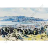 Peter McIntyre, Wellington Harbour