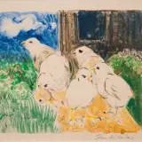 Shona McFarlane, Chicks