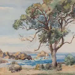 William Wauchop, Goose Bay Kaikoura