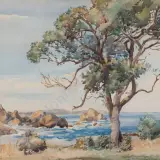 William Wauchop, Goose Bay Kaikoura