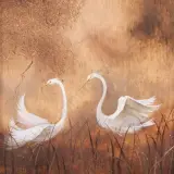 Clarrie Cox, Egret Study