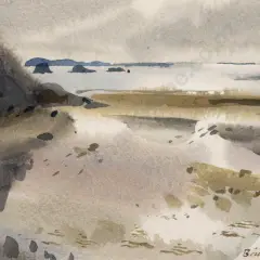Brian Carmody, Wellington Coastal Landscape