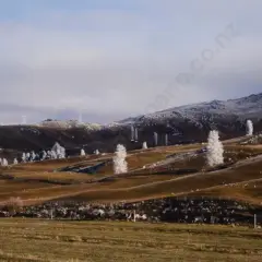 Frozen Trees and Pylons (Fruitlands) by Peter Evans, sold Feb 2026