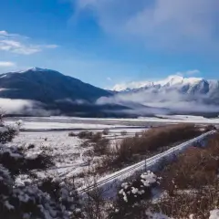 Railway Line at Arthur's Pass by Peter Evans, sold Feb 2026