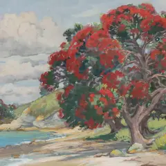 K. Airini Vane, Pohutakawas