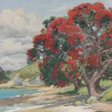 K. Airini Vane, Pohutakawas