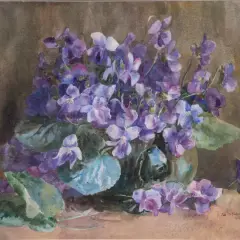 Rosa Spencer Bower, Violet Study