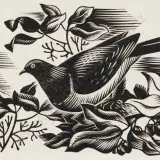 Ernest Mervyn Taylor, Bush Pidgeon