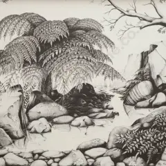 Rei Hamon, Waimarama