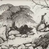 Rei Hamon, Waimarama