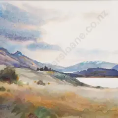 Robert McDowell, Lake Wakatipu