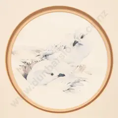 Raymond Ching, Snowy Petrels