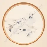 Raymond Ching, Snowy Petrels