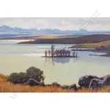 Marcus King, Morning Pukaki