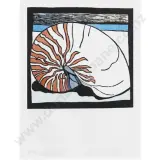 Robin White, Nautilus