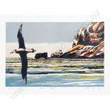Stanley Palmer, Antipodean Albatross