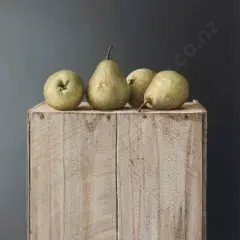 Neil Driver, Pears on Box