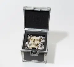 Patrick Raynaud, A.F.C No. 18, Flightcase mit Schädel und Zeitungspapier