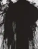 Hermann Nitsch, Motiv 4 (schwarz)