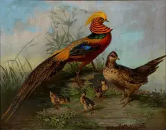 Fazant met kuiken by A. Hestebern, olieverf op doek, sold May 2026